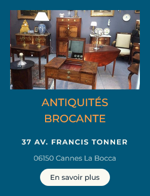 1 logo antiquite sonyheitzmann